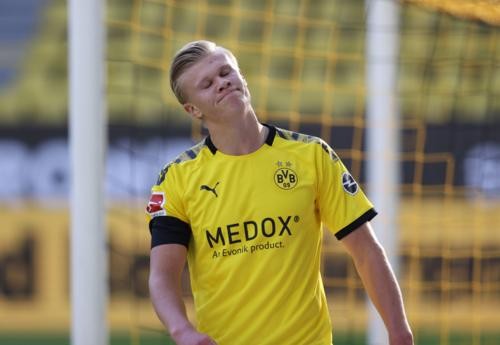 春季游泳锦 春季游泳锦