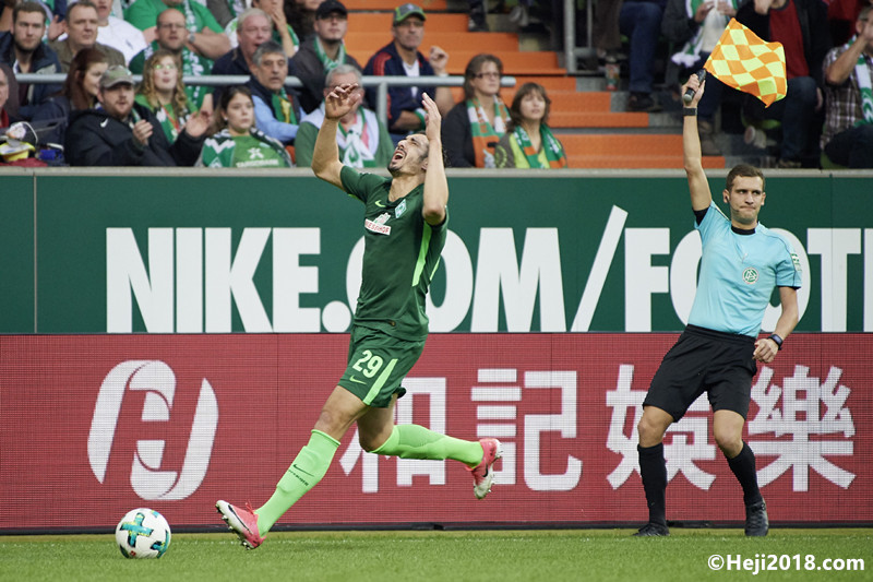 伯德引用了 伯德引用了